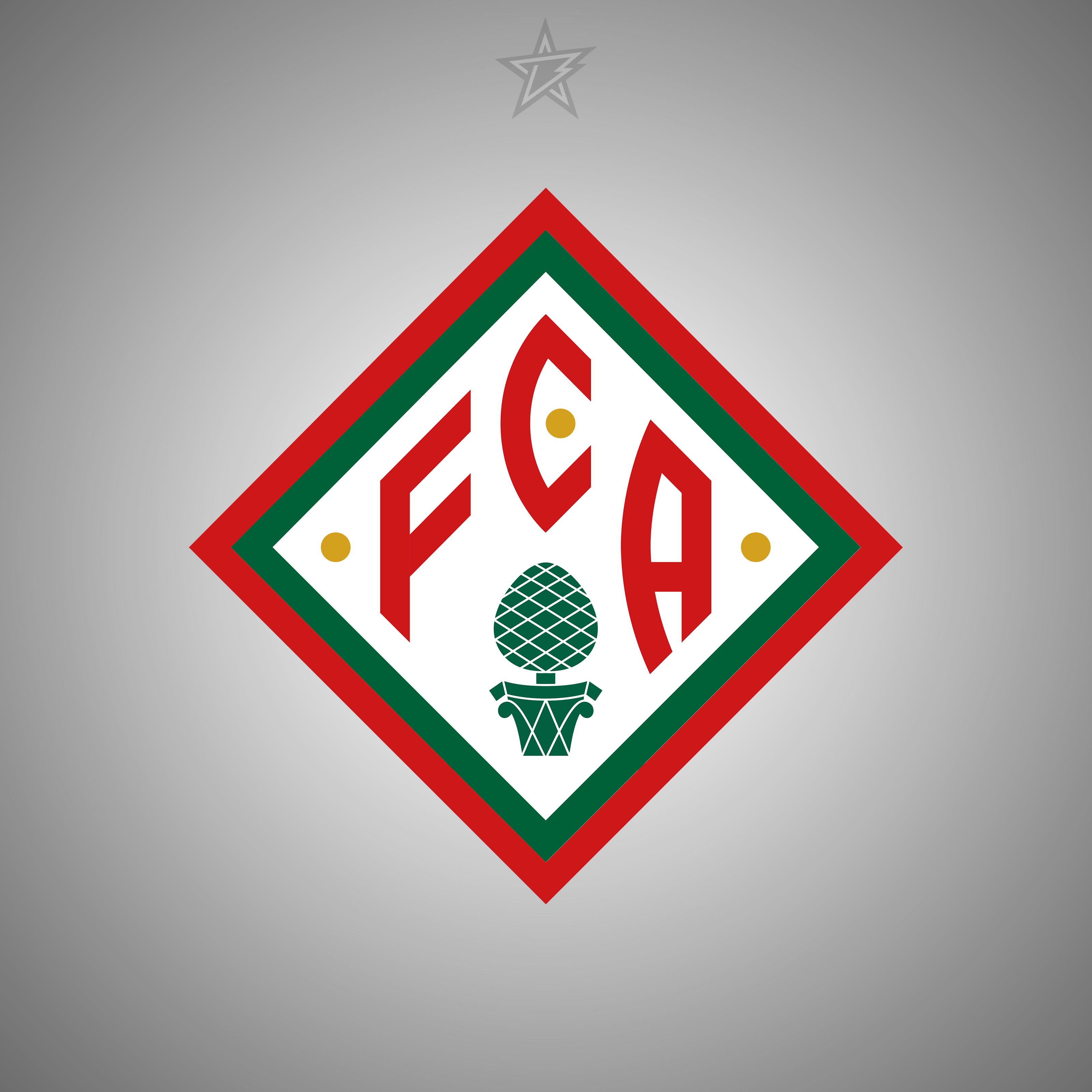 FC Augsburg