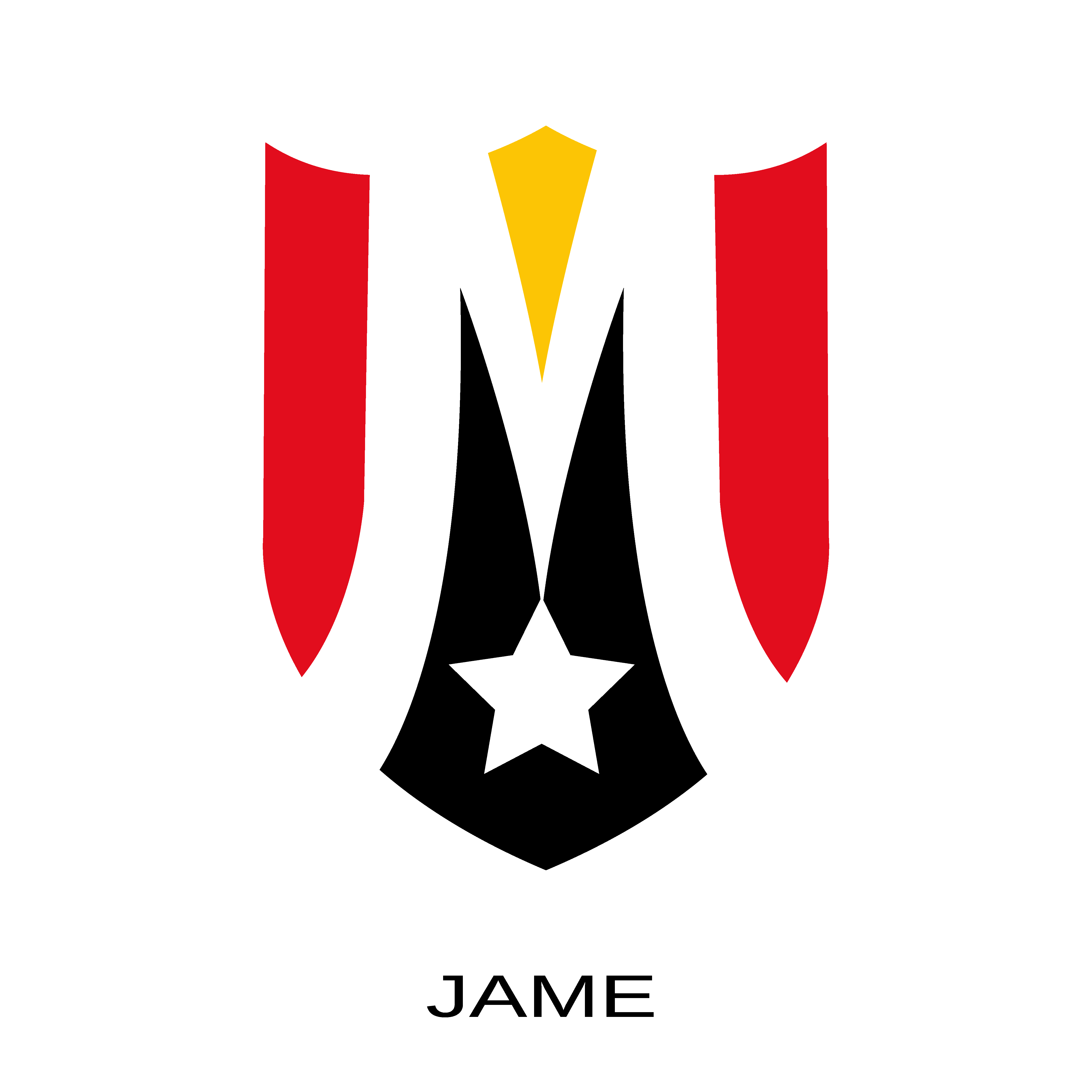 North Eastern Metrostars F.C.