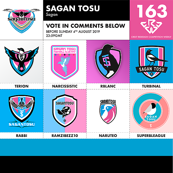CRCW 163 SAGAN TOSU VOTING