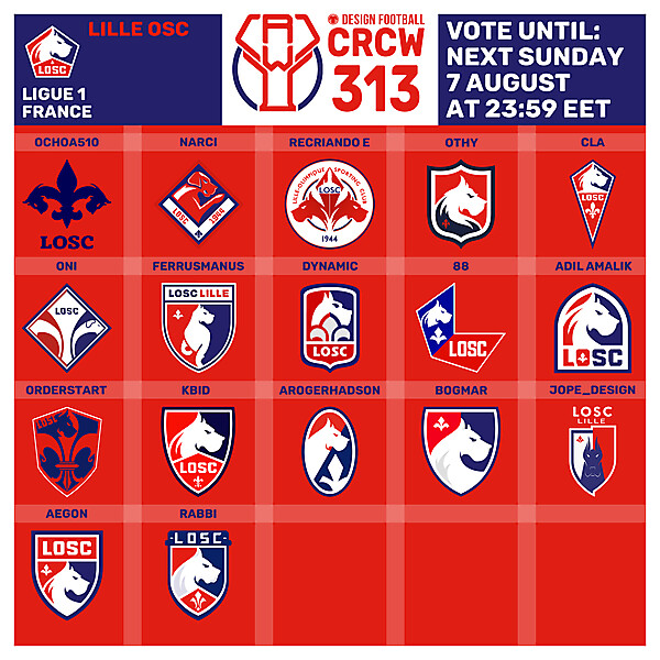 CRCW 313 - VOTING PHASE - LILLE OSC