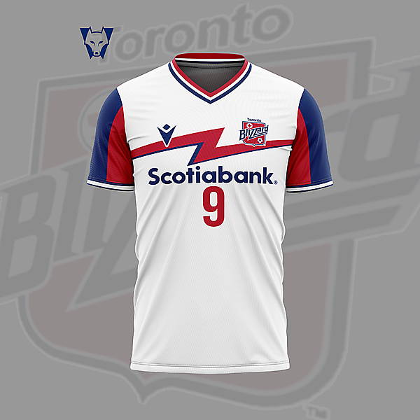Toronto Blizzard home concept