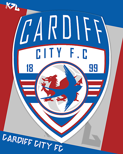 Cardiff City FC - Group B - Match 1