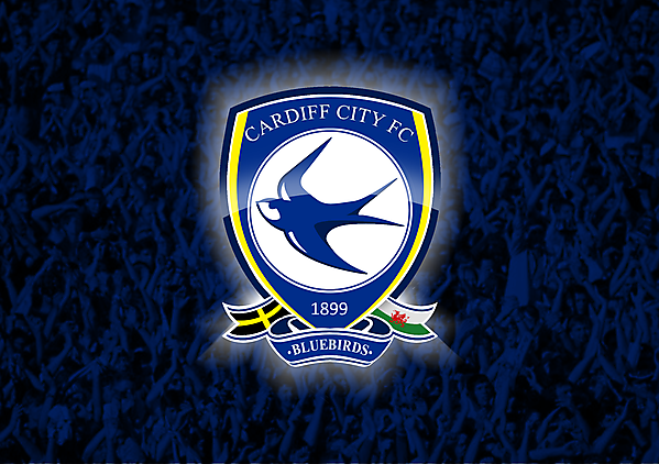 CCFC New Crest V2