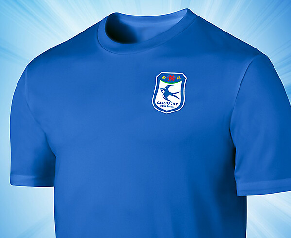 Cardiff City FC 2