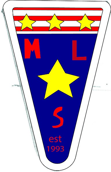 MLS  custom logo 2015