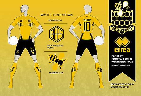 PFC Home v03 with moom\'s Flywire (Not for comp.)