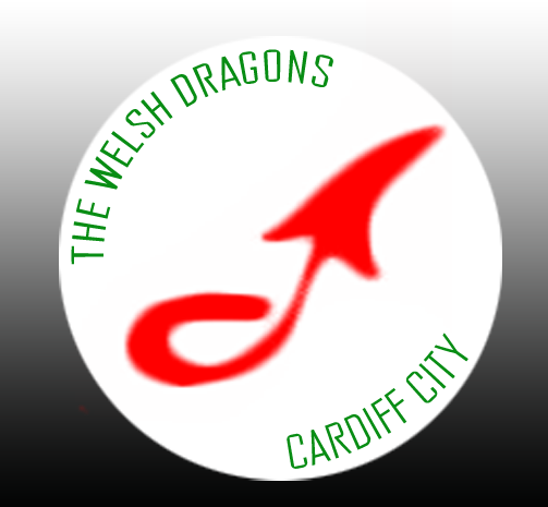 cardiff city crest
