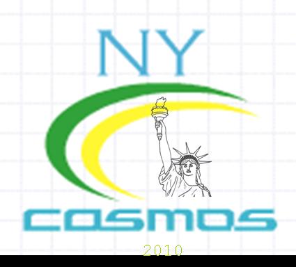 NY Cosmos Logo