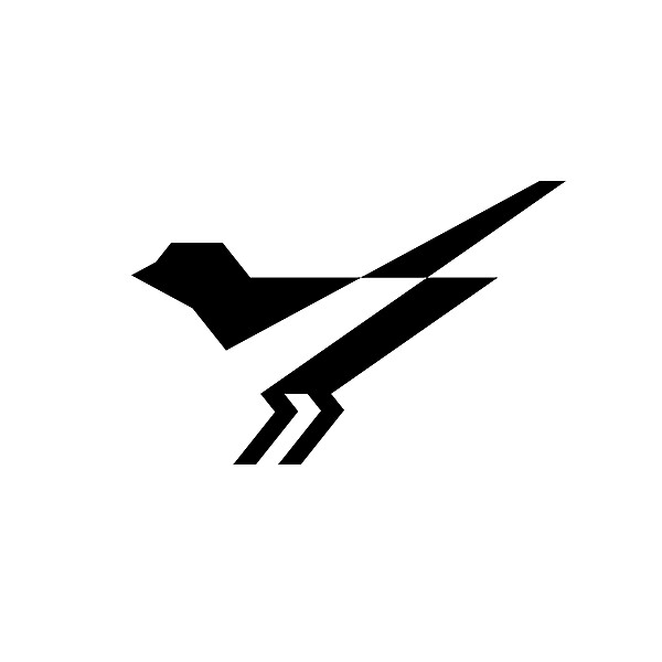 Newcastle United Logo Redesign