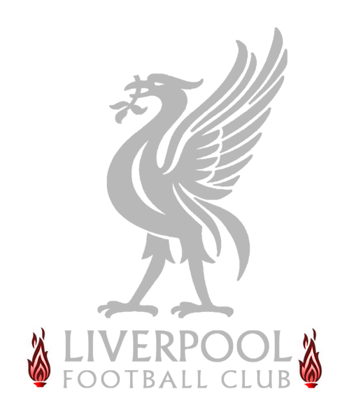 LFC Silver Red Flames