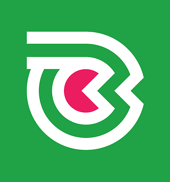 Belarus National team secondary logo idea