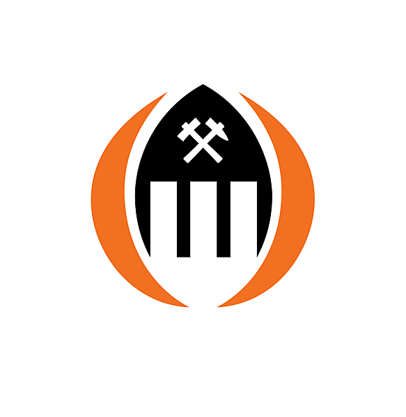 FC Shakhtar Donetsk secondary logo.
