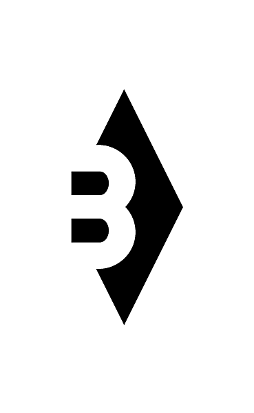 Borussia Moenchengladbach different look logo concept 