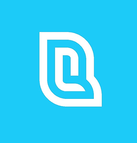 Quebec Nordiques alternative logo concept .