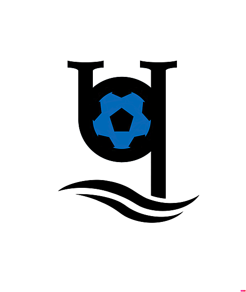 Chernomorets Odessa logo.