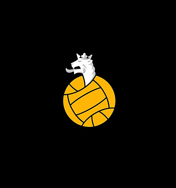 Czech National Team mix of old and new logo .