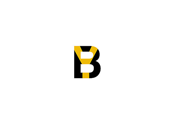 BSC Young Boys logo .