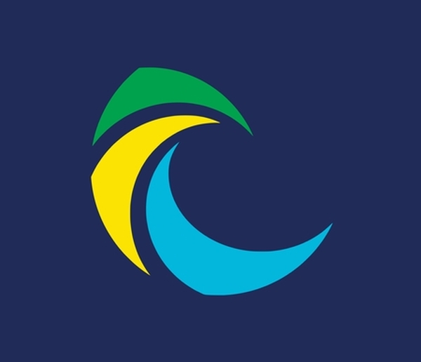 New York Cosmos logo .