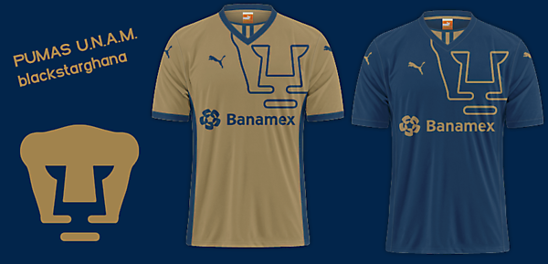 Club de Fútbol Universidad Nacional A. C.