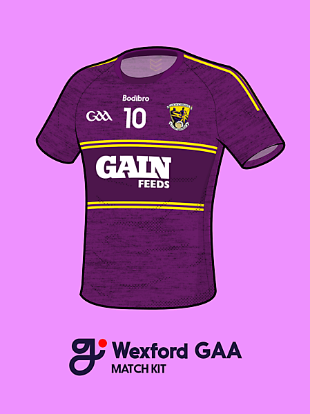 Wexford GAA (Gaelic Football) Shirt