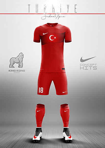 TURKEY CONCEPT KITS