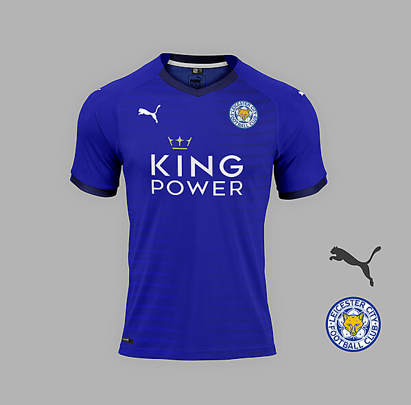 Leicester City home concept.
