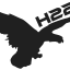 h22