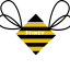 StikeyBee24