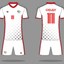 Palestine national team fan kit